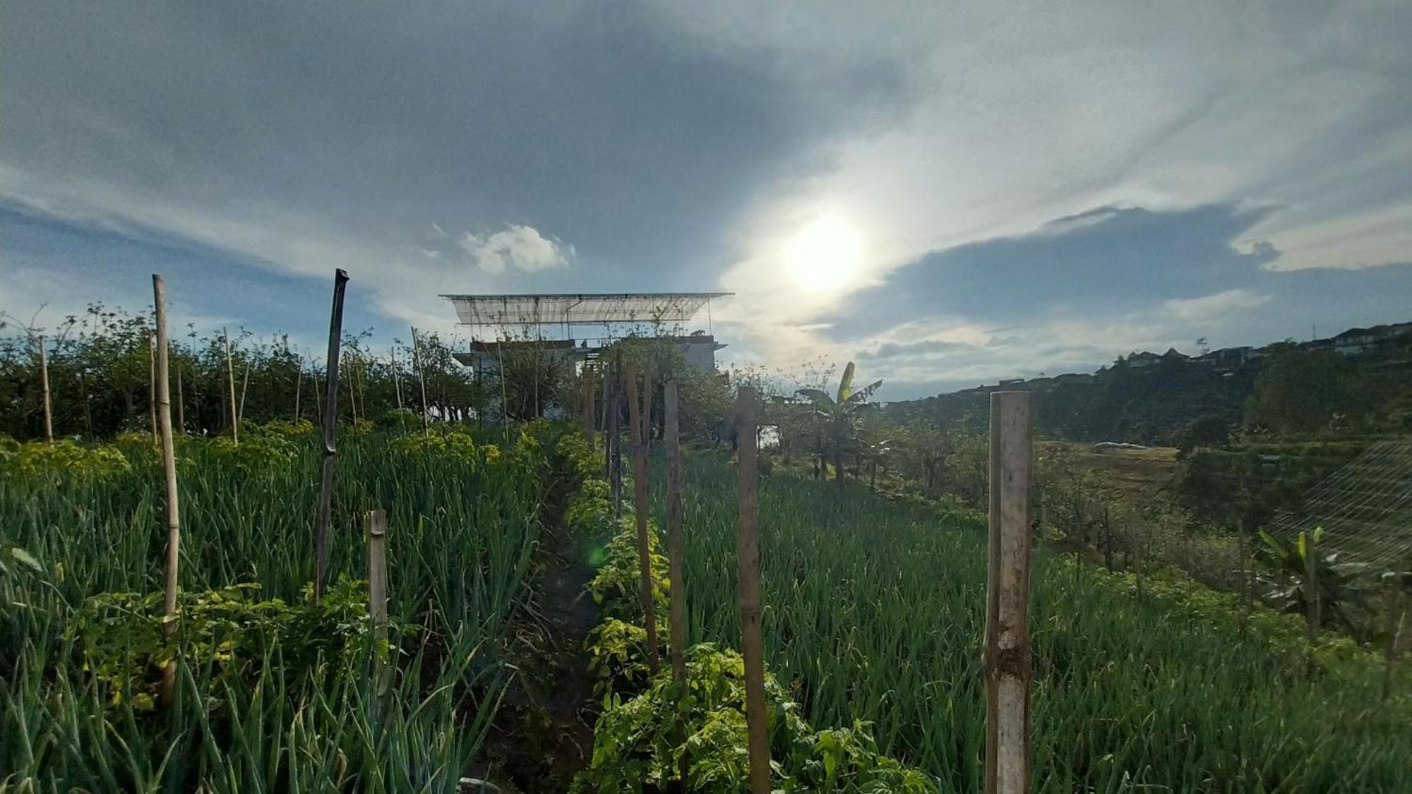 Maison Manendra - Bromo Wisma tamu *