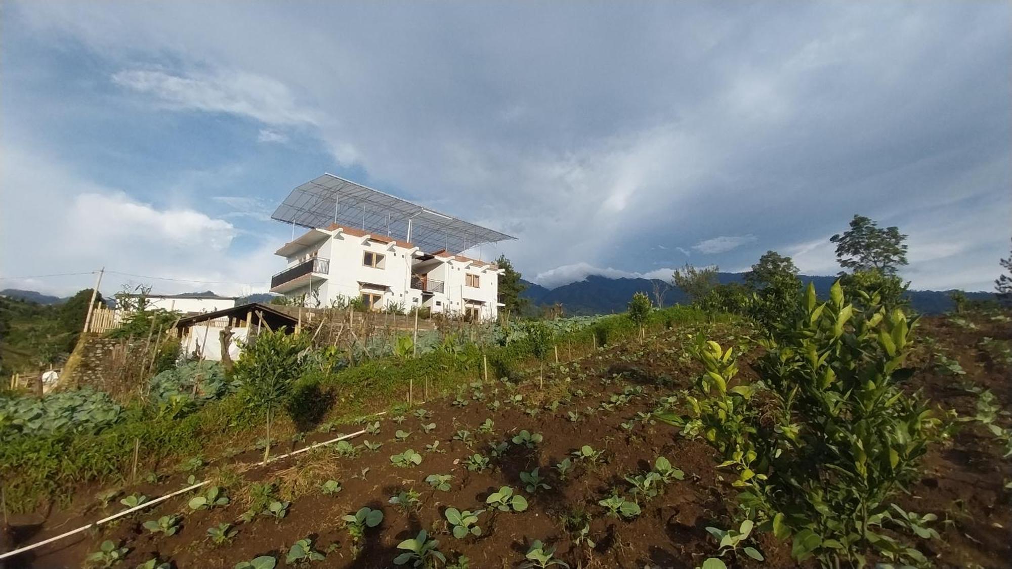 Maison Manendra - Bromo Wisma tamu *