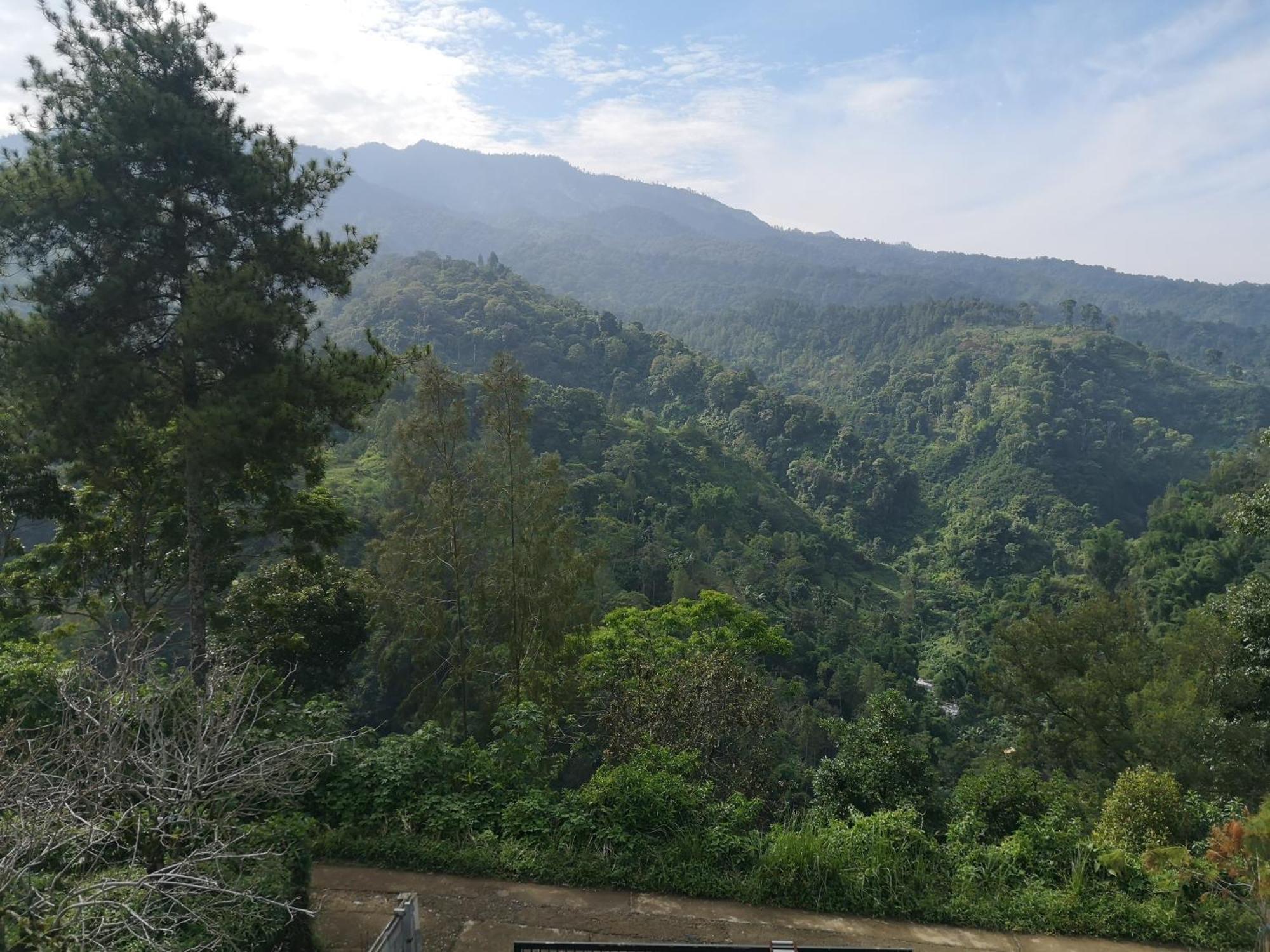 Maison Manendra - Bromo Wisma tamu